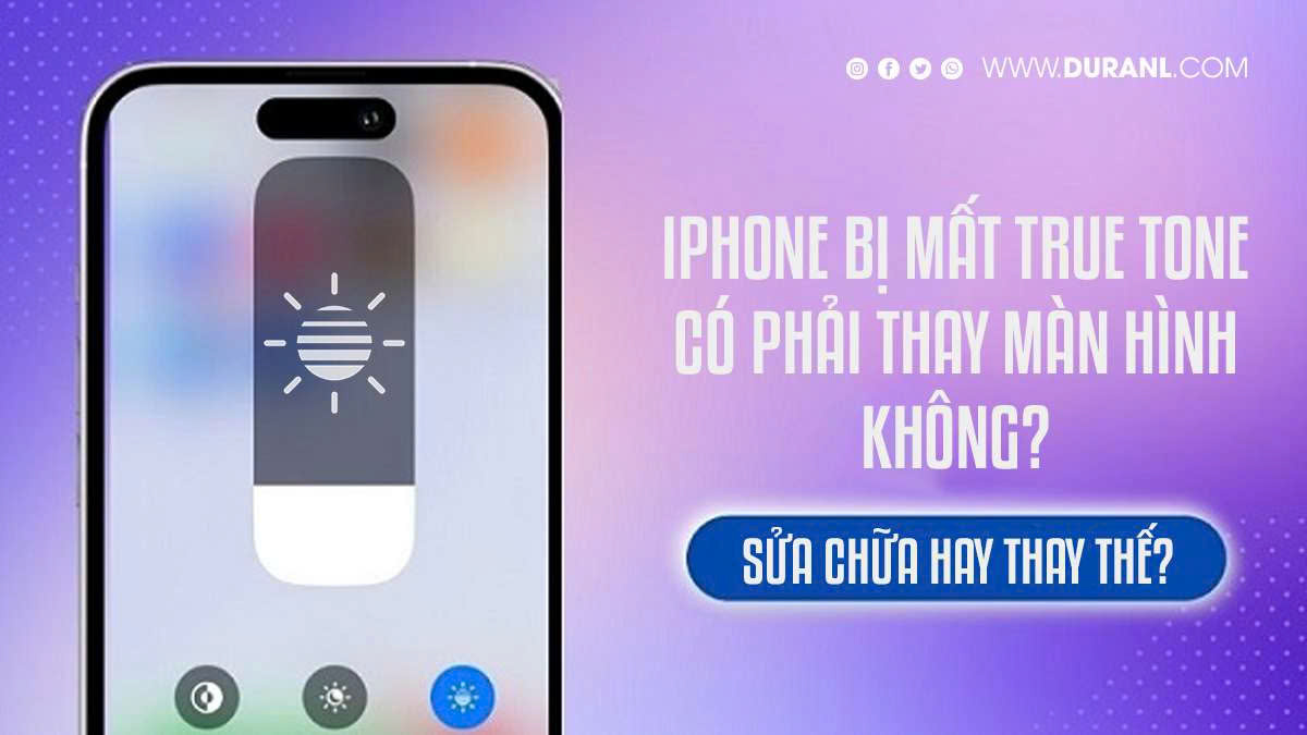 iPhone bị mất True Tone có phải thay màn hình không?